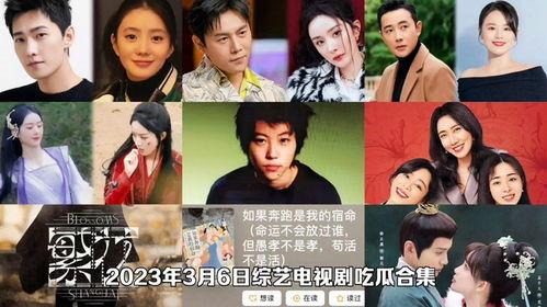 娱乐圈吃瓜综艺文推荐,明星幕后故事大揭秘，吃瓜综艺文推荐盘点