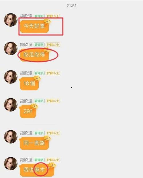 娱乐圈吃瓜文件怎么取,揭秘“吃瓜文件”背后的真相
