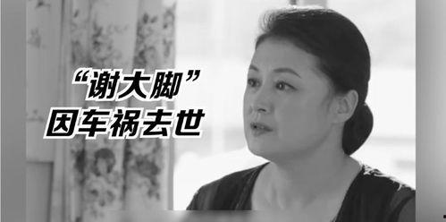 娱乐圈的吃瓜大合集,揭秘明星幕后那些事儿