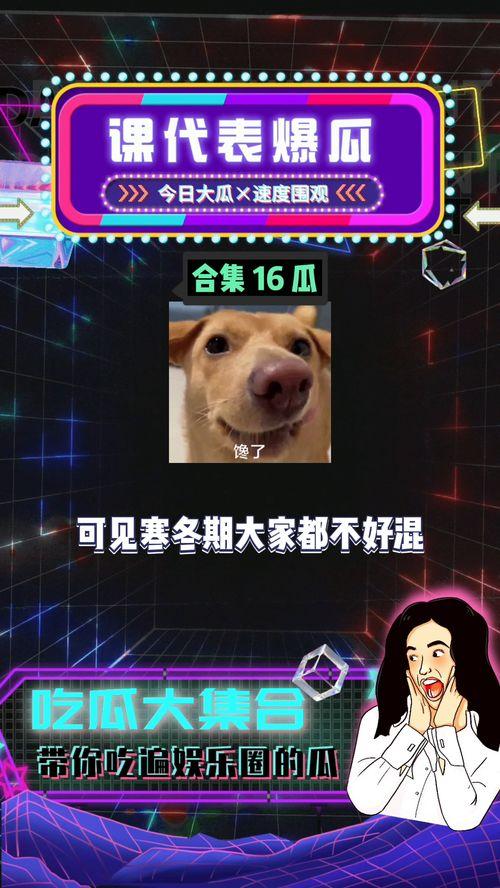 娱乐吃瓜免费观看,揭秘热门吃瓜瞬间