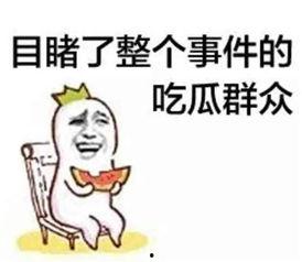 娱乐吃瓜喵不务正业版,揭秘明星不务正业背后的秘密