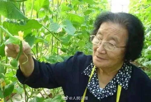 娱乐吃瓜酱是金子,揭秘金子背后的娱乐风云