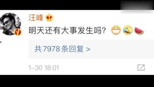 娱乐圈吃瓜合集网盘下载百度云