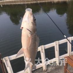 娱乐吃瓜钓鱼视频大全最新,娱乐吃瓜钓鱼视频大盘点，笑料百出，精彩纷呈！